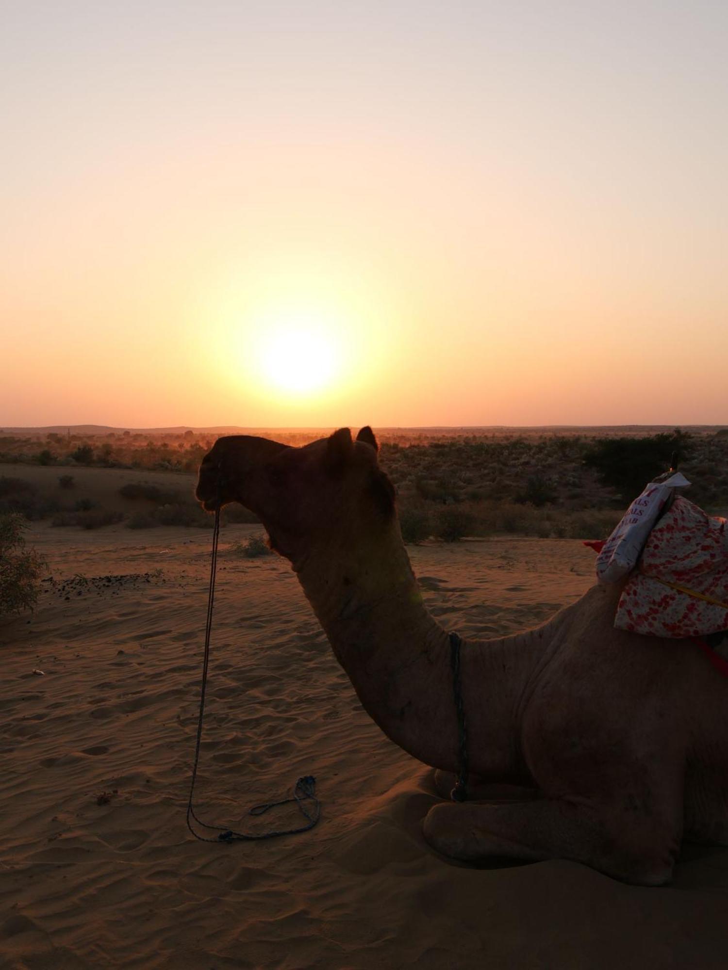 Ideal Guest House Jaisalmer Exterior photo