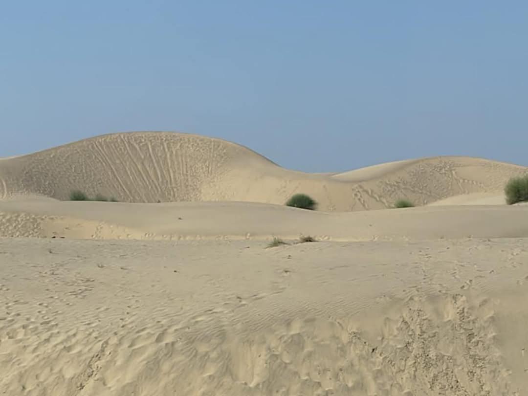 Ideal Guest House Jaisalmer Exterior photo